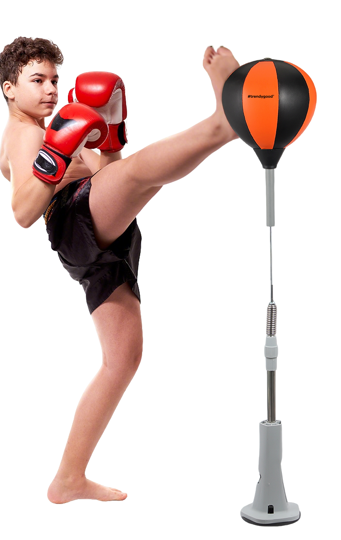 Punching Boxeo TG24127